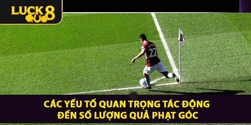 Các yếu tố quan trọng tác động đến số lượng bị phạt